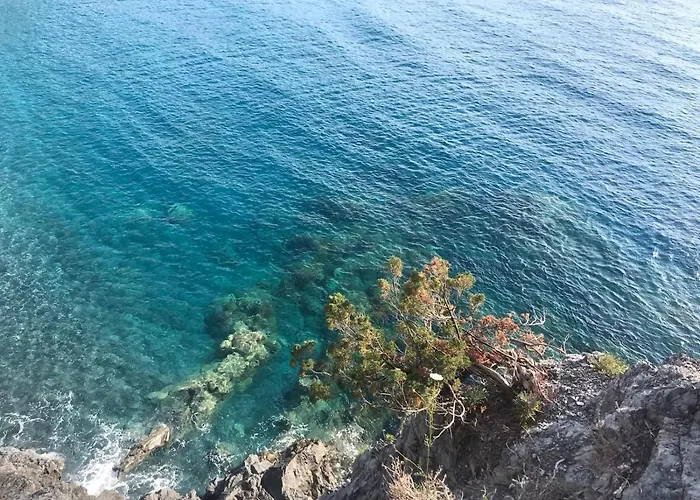 Bed and Breakfast La Casa della Nonna Scalea